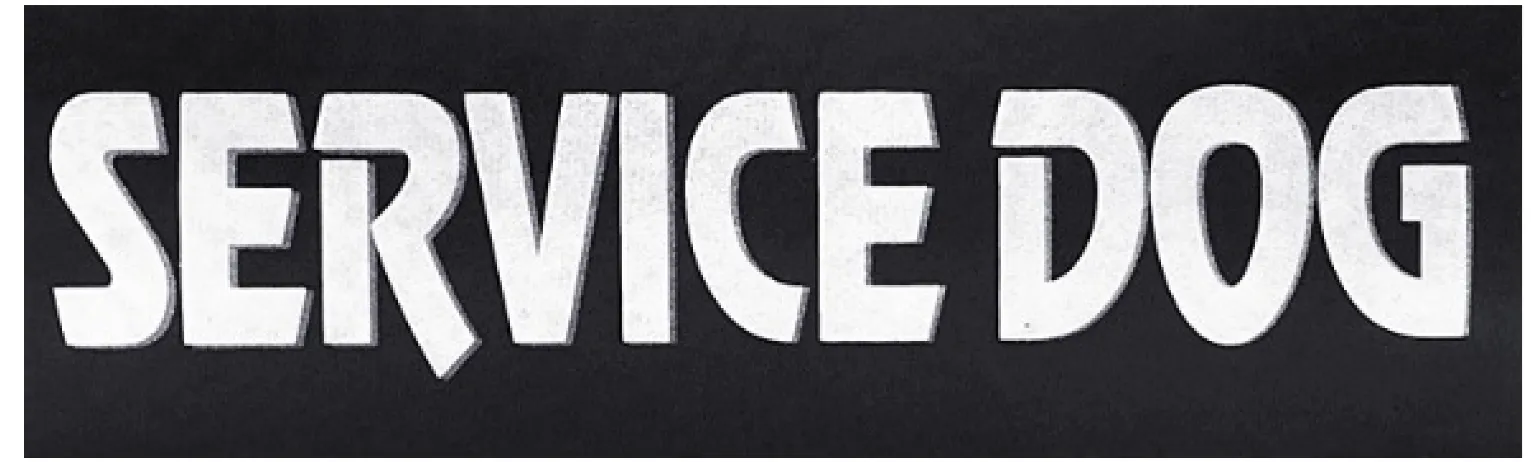 Pair Of SERVICE DOG • EMOTIONAL Velcro Patches Reflective Tag Harness Vest
