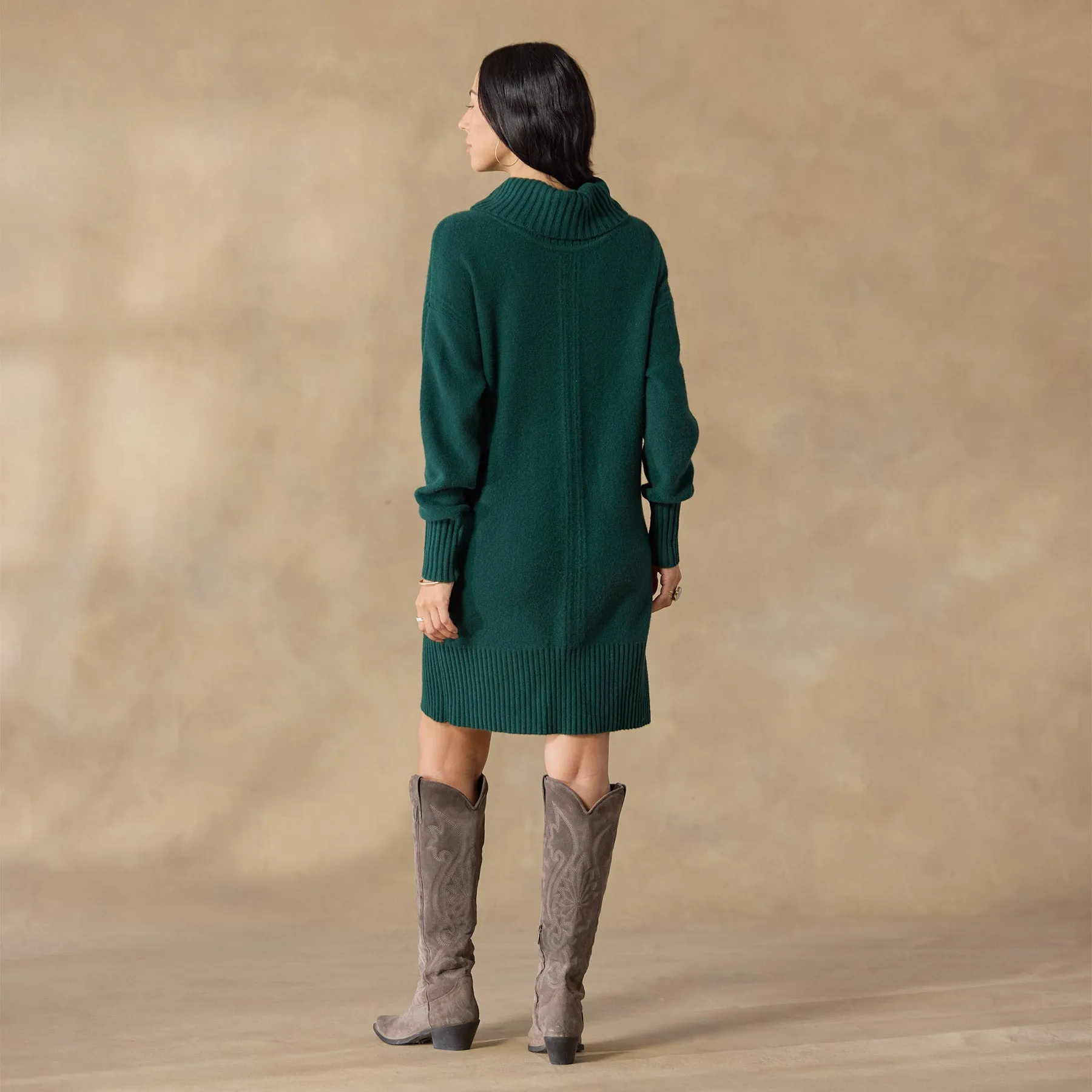 Sonja Cashmere Dress, Petite
